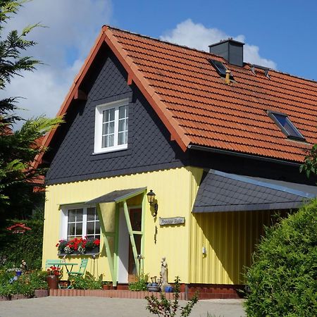 Gemuetliche Einraumwohnung Im Erdgeschoss Mit Doppelbett Und Kaminofen Benneckenstein Luaran gambar